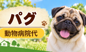 パグの動物病院代は年間いくら？健康診断・予防・急な通院に備える