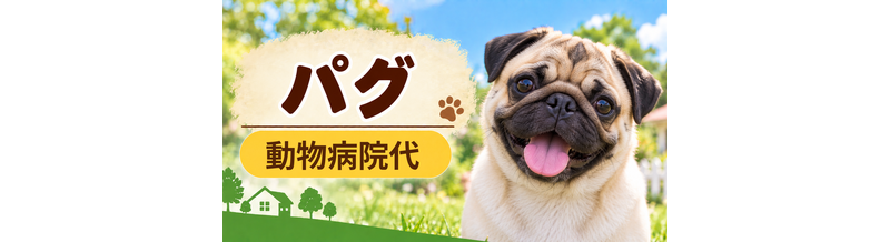 パグの動物病院代は年間いくら？健康診断・予防・急な通院に備える
