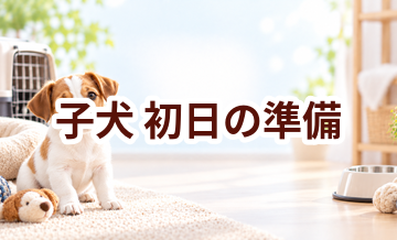 子犬を迎えた初日に必要なもの｜買い忘れ防止チェックリスト