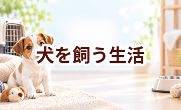 犬を飼うと生活はどう変わる？時間とお金のリアルを整理