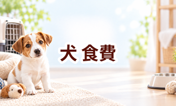 犬の食費はいくらかかる？年間予算の立て方と節約ポイント