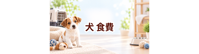 犬の食費はいくらかかる？年間予算の立て方と節約ポイント