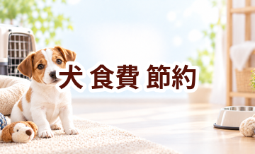 犬の食費を抑えるには？無理なく続ける節約方法