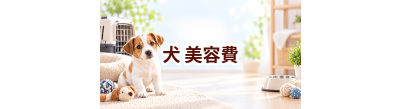 犬の美容費はいくらかかる？年間予算の立て方と節約ポイント
