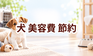 犬の美容費を抑えるには？無理なく続ける節約方法
