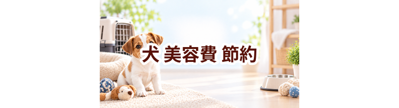 犬の美容費を抑えるには？無理なく続ける節約方法