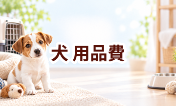 犬の用品費はいくらかかる？年間予算の立て方と節約ポイント