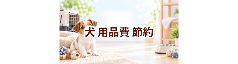 犬の用品費を抑えるには？無理なく続ける節約方法