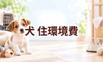 犬の住環境費はいくらかかる？年間予算の立て方と節約ポイント