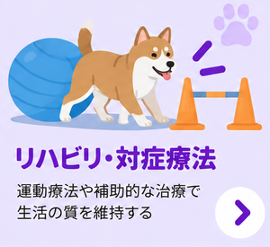 リハビリ