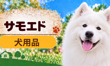 サモエド向け犬用品の選び方｜ケージ・ベッド・ハーネスをまとめて確認