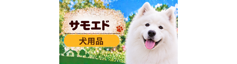 サモエド向け犬用品の選び方｜ケージ・ベッド・ハーネスをまとめて確認