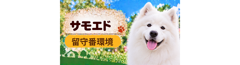 サモエドの留守番環境を整える｜安全対策と便利グッズ