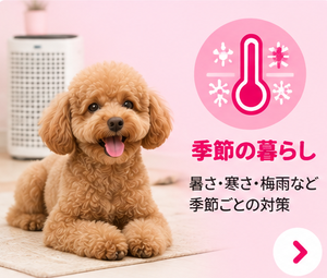 季節の暮らし