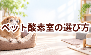 ペット用酸素室を選ぶときのチェックポイント｜料金・設置・サポート