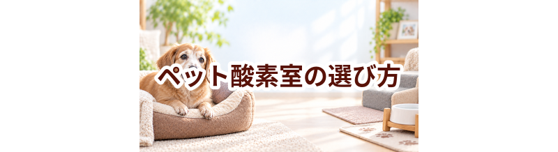 ペット用酸素室を選ぶときのチェックポイント｜料金・設置・サポート