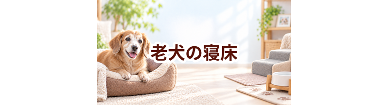 老犬の寝床はどう選ぶ？起き上がりやすさと洗いやすさを重視