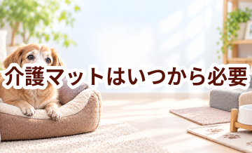 介護マットはいつから必要？使い始めるタイミングと選び方