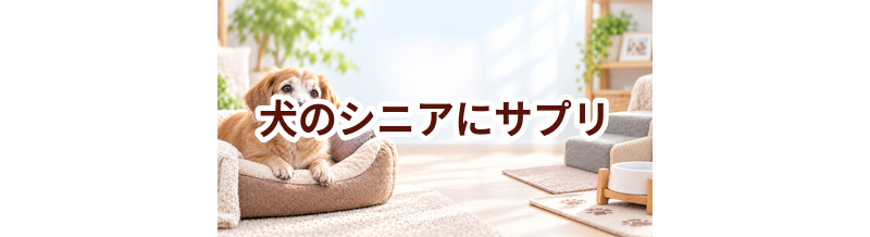 犬のシニアにサプリは必要？選ぶ前に知っておきたい考え方