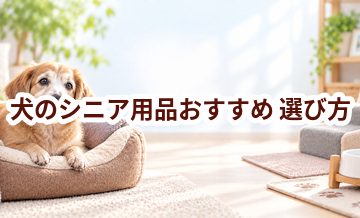 犬のシニア用品おすすめの選び方｜失敗しないチェックポイント