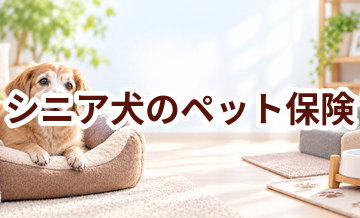 シニア犬のペット保険はどう選ぶ？年齢条件と保険料を確認
