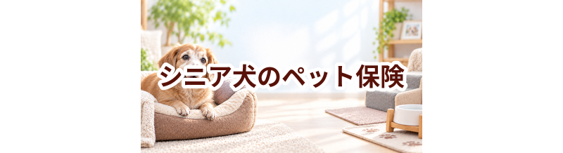 シニア犬のペット保険はどう選ぶ？年齢条件と保険料を確認