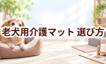 老犬用介護マットの選び方｜介護する人と愛犬が使いやすいものを選ぶ