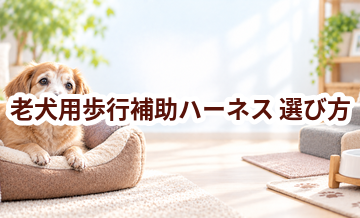 老犬用歩行補助ハーネスの選び方｜介護する人と愛犬が使いやすいものを選ぶ