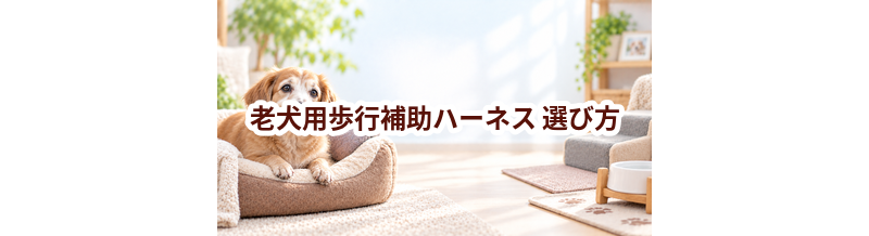 老犬用歩行補助ハーネスの選び方｜介護する人と愛犬が使いやすいものを選ぶ