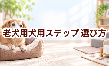 老犬用犬用ステップの選び方｜介護する人と愛犬が使いやすいものを選ぶ