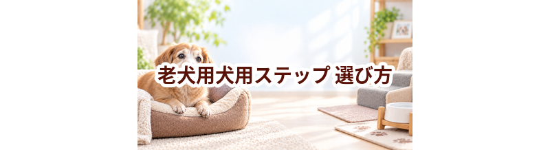 老犬用犬用ステップの選び方｜介護する人と愛犬が使いやすいものを選ぶ