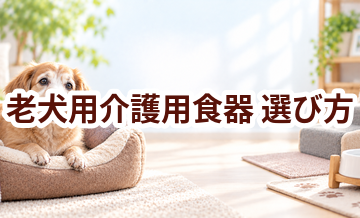 老犬用介護用食器の選び方｜介護する人と愛犬が使いやすいものを選ぶ
