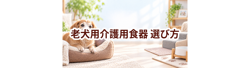 老犬用介護用食器の選び方｜介護する人と愛犬が使いやすいものを選ぶ