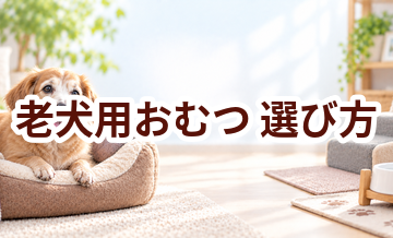 老犬用おむつの選び方｜介護する人と愛犬が使いやすいものを選ぶ