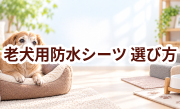 老犬用防水シーツの選び方｜介護する人と愛犬が使いやすいものを選ぶ