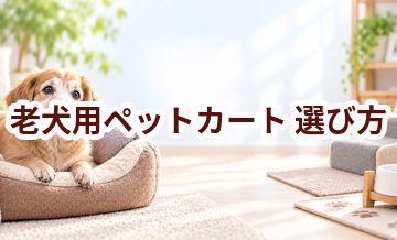 老犬用ペットカートの選び方｜介護する人と愛犬が使いやすいものを選ぶ