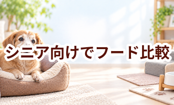 ドッグフードをシニア向けで比較するときのポイント｜数字だけで決めない選び方