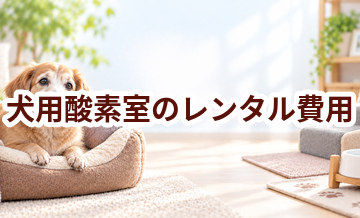 犬用酸素室のレンタル費用はいくら？購入との違いも比較