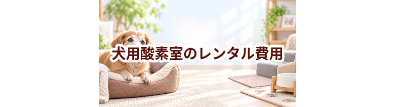 犬用酸素室のレンタル費用はいくら？購入との違いも比較