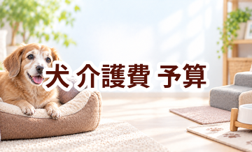 犬の介護費で後悔しないために｜予算を決める前のチェック項目