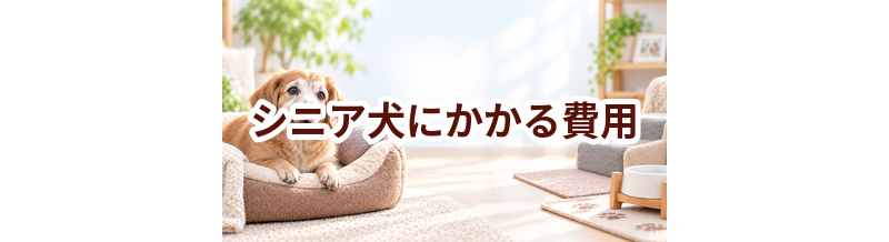シニア犬にかかる費用はいくら？食事・医療・介護を家計目線で解説