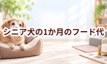 シニア犬の1か月のフード代はいくら？体重と給餌量から計算