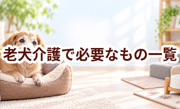 老犬介護で必要なもの一覧｜準備しておきたい用品と費用
