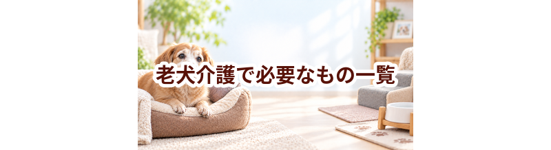 老犬介護で必要なもの一覧｜準備しておきたい用品と費用