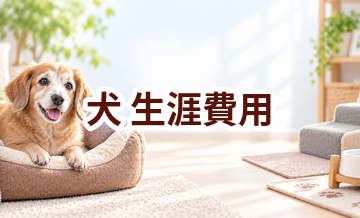 犬の生涯費用はいくら？子犬からシニアまで総額をシミュレーション