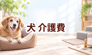 犬の介護費はいくらかかる？年間予算の立て方と節約ポイント