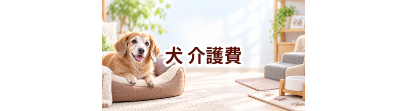 犬の介護費はいくらかかる？年間予算の立て方と節約ポイント