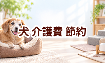 犬の介護費を抑えるには？無理なく続ける節約方法