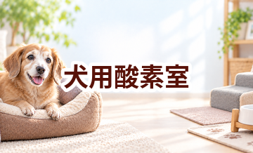 犬用酸素室とは？自宅レンタルの仕組み・費用・利用時の注意点