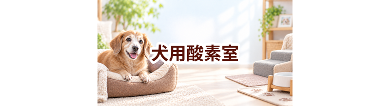 犬用酸素室とは？自宅レンタルの仕組み・費用・利用時の注意点